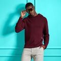 WAFFLE STITCH MERINO WOOL HOODED JUMPER image number 2