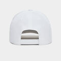 MONOCHROME PRAY FOR BIRDIES STRETCH TWILL SNAPBACK HAT image number 5